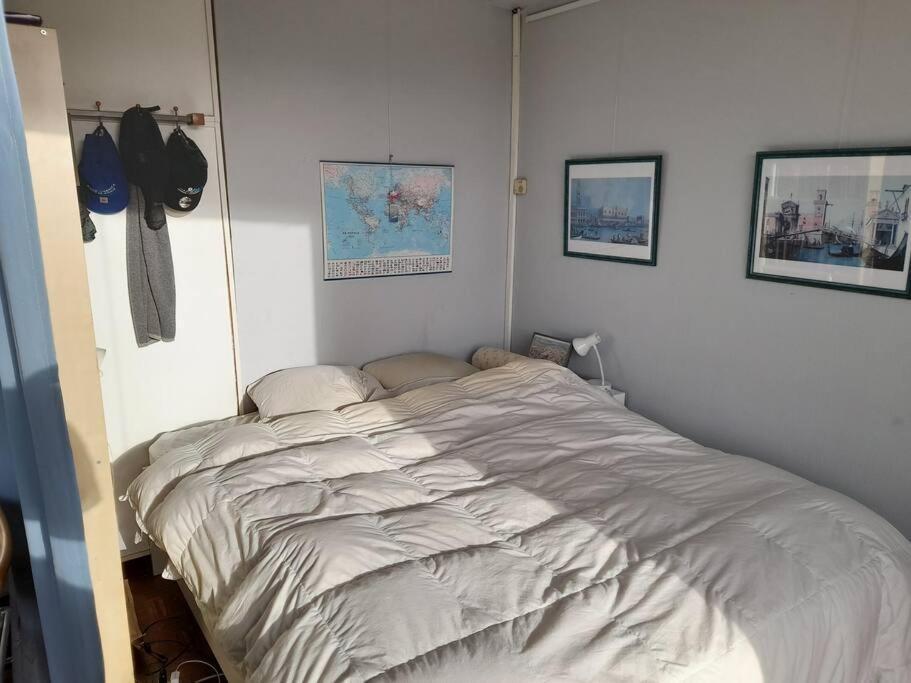 Sunny Apartment
